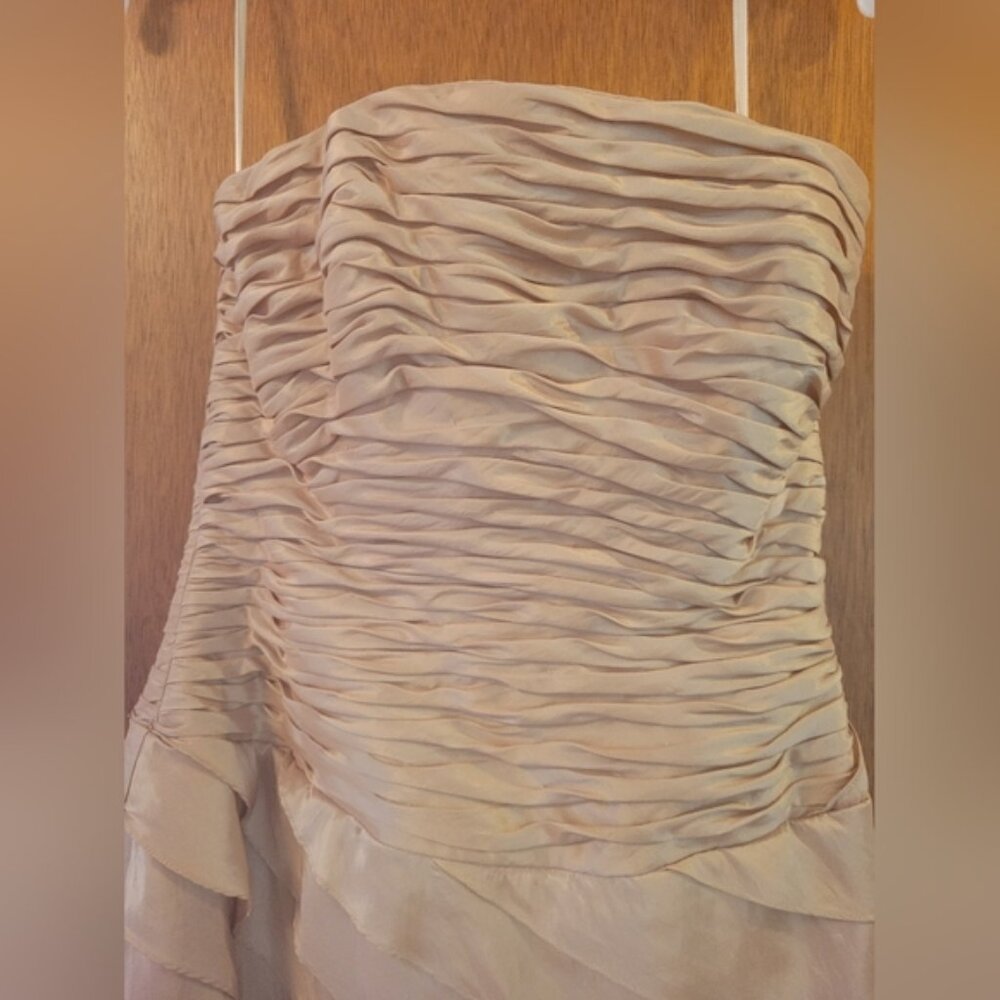 Beautiful Gown - Picture 3 of 5
